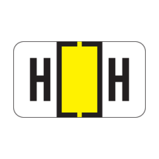TRAM-H | Yellow/Bk H Labels Traco Series Size: 15/16H x 1-5/8W, Laminated, 500/Box