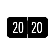 20-DG34 | Black Digi Color 2020 Year Labels Size 3/4H x 1-1/2W Laminated 500/Box