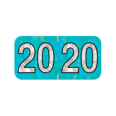 20-HAYM | 2020 Aqua Holographic Year Labels Size 3/4H x 1-1/2W Laminated 500/Box
