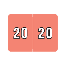 20-L8800 | Pink 20 Datafile Year Labels L8800 Size 15/16H x 1-1/4W Laminated 500/Box