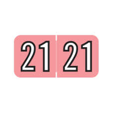 21-BA34 | Pink/Black 2021 Barkley Year Labels  Size 3/4H x 1-1/2W Laminated 500/Box
