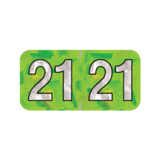 21-HLYM | 2021 Lime Holographic Year Labels Size 3/4H x 1-1/2W Laminated 500/Box