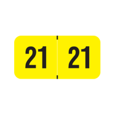 21-PMAY | Fluorescent Yellow 21 PMA Year Labels Size 3/4H x 1-1/2W Laminated 500/Box