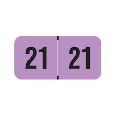 21-RRYM | LT. Purple 21 Reynolds & Reynolds Year Labels Size 3/4W x 1-1/2H Laminated 500/Box