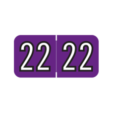 22-BK34 | Purple/Black 22 Barkley Year Labels FYCPM Size 3/4W x 1-1/2H Laminated 500/Box