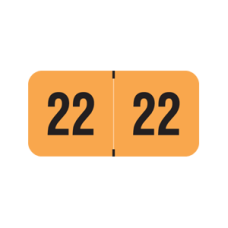 22-PMAO | Fluorescent Orange 22 PMA Year Labels Size 3/4H x 1-1/2W Laminated 500/Box
