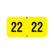 22-PMAY | Fluorescent Yellow 22 PMA Year Labels Size 3/4H x 1-1/2W Laminated 500/Box