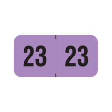23-PMAV | Fluorescent Violet 23 PMA Year Labels Size 3/4H x 1-1/2W Laminated 500/Box