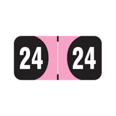 24-AD34 | 2024 Pink & Black Arden Label Year Labels Size 3/4H x 1-1/2W Laminated 500/Box