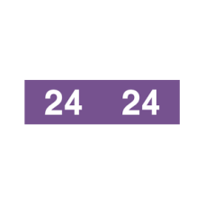 24-AM12 - 2024 Purple Ames Year Labels