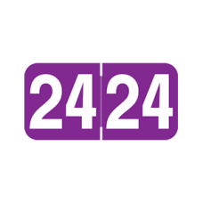 24-AM34 | Purple 24 Ames Color File Year Labels Size 3/4H x 1-1/2W Laminated 500/Box