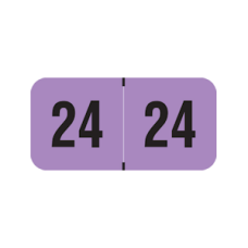 24-PMAV | Fluorescent Violet 24 PMA Year Labels Size 3/4H x 1-1/2W Laminated 500/Box