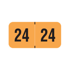 24-PMAO | Fluorescent Orange 24 PMA Year Labels Size 3/4H x 1-1/2W Laminated 500/Box