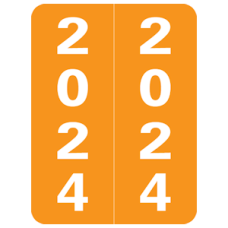 24-SM2 | Orange 2024 Smead Year Labels X-Ray Size 2H x 1-1/2W Laminated 500/Box