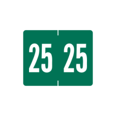 25-1309 | Green 2025 Tab 1309 Year Labels. 1H x 1-1/4W Vinyl 500/Box