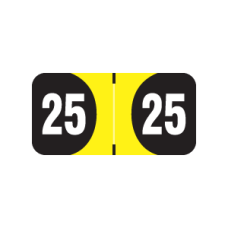 25-AD34 | 2025 Yellow - Black  Arden Label Year Labels Size 3/4H x 1-1/2W Laminated 500/Box