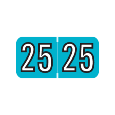 25-BK34 | Blue/Black 2025 Barkley Year Labels FYCPM Size 3/4W x 1-1/2H Laminated 500/Box