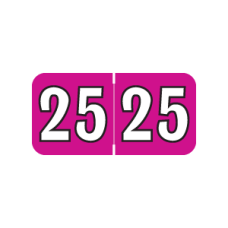 25-CJT34 | Pink/Black 2025 Colwell Jewel Tone Year Labels Size 3/4H x 1-1/2W Laminated 500/Box