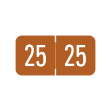 25-GBS34 | LT Brown 2025 GBS Year Labels 8851 Size 3/4H x 1-1/2W Laminated 500/Box