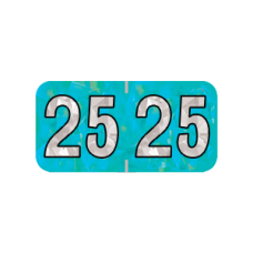 25-HAYM | 2024 Aqua Holographic Year Labels Size 3/4H x 1-1/2W Laminated 500/Box