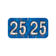 25-HBYM | 2025 Blue Holographic Year Labels Size 3/4H x 1-1/2W Laminated 500/Box