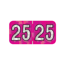25-HFYM | 2024 Fuchsia Holographic Year Labels Size 3/4H x 1-1/2W Laminated 500/Box