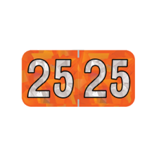 25-HOYM | 2024 Orange Holographic Year Labels Size 3/4H x 1-1/2W Laminated 500/Box