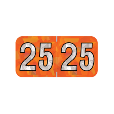 25-HOYM | 2025 Orange Holographic Year Labels Size 3/4H x 1-1/2W Laminated 500/Box