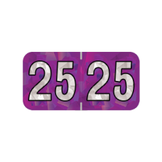 25-HPYM | 2024 Purple Holographic Year Labels Size 3/4H x 1-1/2W Laminated 500/Box