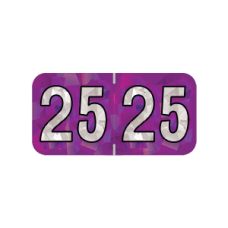 25-HPYM | 2025 Purple Holographic Year Labels Size 3/4H x 1-1/2W Laminated 500/Box