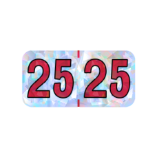 25-HSYM | 2025 Silver Holographic Year Labels Size 3/4H x 1-1/2W Laminated 500/Box
