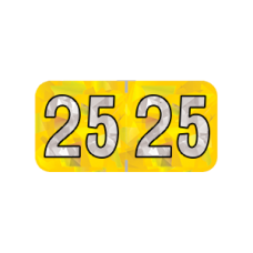 25-HYYM | 2024 Yellow Holographic Year Labels Size 3/4H x 1-1/2W Laminated 500/Box