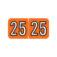25-L9107 | Orange/Black 2025 Amerifle Year Labels Size 3/4H x 1-1/2W Laminated 500/Box