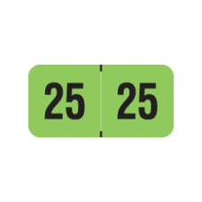 25-PMAG | Fluorescent Green 2025 PMA Year Labels Size 3/4H x 1-1/2W Laminated 500/Box