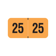25-PMAO | Fluorescent Orange 2025 PMA Year Labels Size 3/4H x 1-1/2W Laminated 500/Box