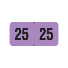 25-PMAV | Fluorescent Violet 23 PMA Year Labels Size 3/4H x 1-1/2W Laminated 500/Box