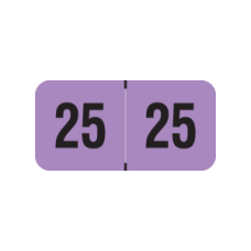 25-PMAV | Fluorescent Violet 2025 PMA Year Labels Size 3/4H x 1-1/2W Laminated 500/Box