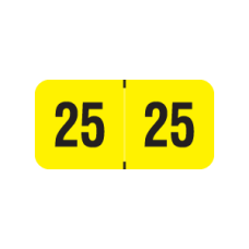 25-PMAY | Fluorescent Yellow 2025 PMA Year Labels Size 3/4H x 1-1/2W Laminated 500/Box