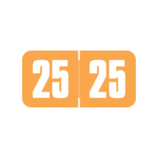 25-SG34 | Orange 23 Safeguard Year Labels 50117 Size 3/4H x 1-1/2W Laminated 500/Box