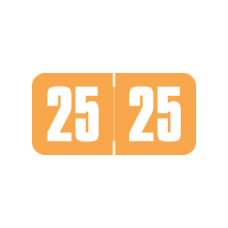 25-SG34 | Orange 2025 Safeguard Year Labels 50117 Size 3/4H x 1-1/2W Laminated 500/Box