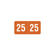 25-SM12 | Brown 2025 Smead Year Labels ETY Size 1/2H x 1W Laminated 500/Box