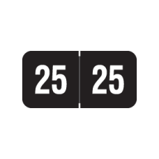 25-SM34 | Black 2025 Smead Year Labels Size 3/4H x 1-1/2W Laminated 500/Box
