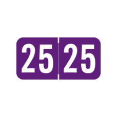 25-ST34 | Purple 23 STS Year Labels SFI Size 3/4H x 1-1/2W Laminated 500/Box