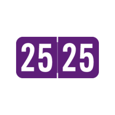 25-ST34 | Purple 2025 STS Year Labels SFI Size 3/4H x 1-1/2W Laminated 500/Box