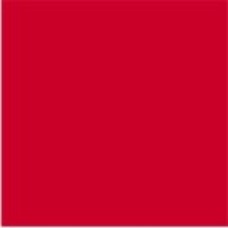 ALGS-0 | Red Large Solid Labels Ames Size 1-7/8H x 1-7/8W Unlaminated 500/Box 