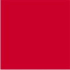 ALGS-0 | Red Large Solid Labels Ames Size 1-7/8H x 1-7/8W Unlaminated 500/Box 