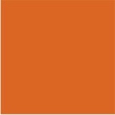 ALGS-3 | Orange Large Solid Labels Ames Size 1-7/8H x 1-7/8W Unlaminated 500/Box 