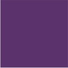 ALGS-4 | Purple Large Solid Labels Ames Size 1-7/8H x 1-7/8W Unlaminated 500/Box 