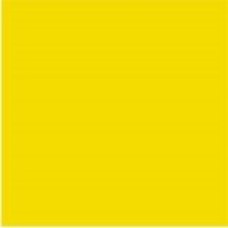 ALGS-6 | Yellow Large Solid Labels Ames Size 1-7/8H x 1-7/8W Unlaminated 500/Box 