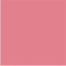 ALGS-8 | Pink Large Solid Labels Ames Size 1-7/8H x 1-7/8W Unlaminated 500/Box 